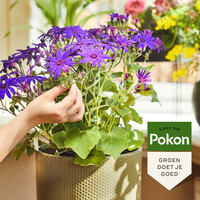 Bio bloeiende planten voeding voor kamerplanten 500 ml