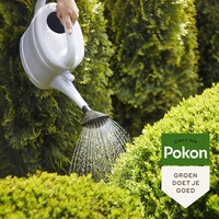 Bitterzout Groenmaker voor buxus en coniferen