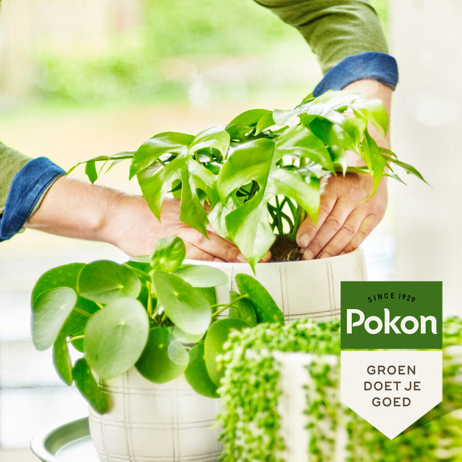 Biologische groene planten voeding 250 ml | 500 ml voor diepgroen blad