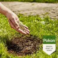 Magnesiummest voor coniferen, sierstruiken en gazon 2 kg