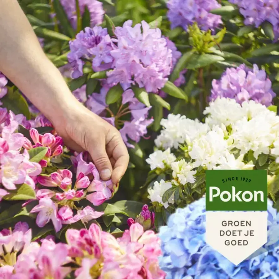 Organische mest voor hortensia, rododendron en azalea | 1 kg en 2,5 kg