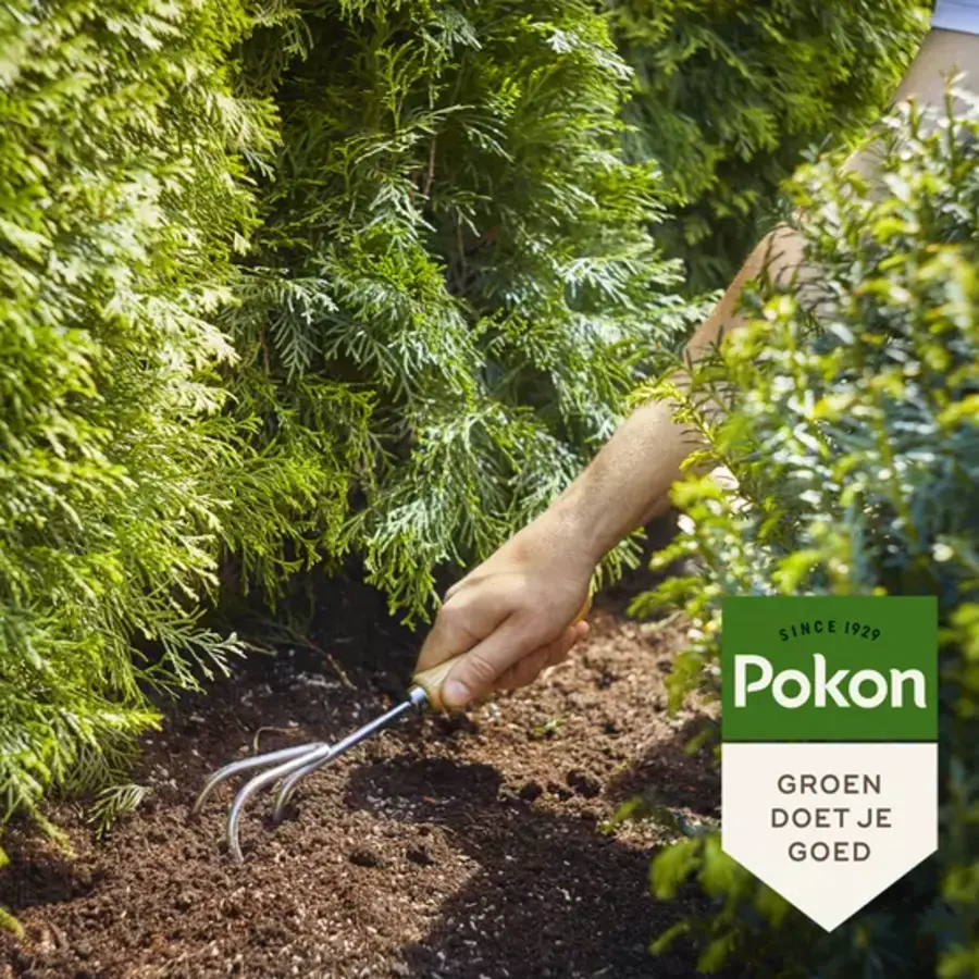 Conifeer & Taxus Mest 1 kg en 2,5 kg | 120 dagen voeding