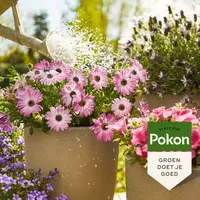 Vloeibare terras en balkon plantenvoeding