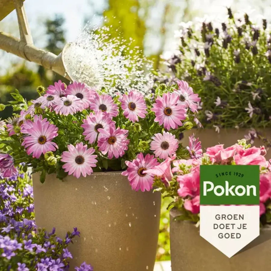 Vloeibare terras en balkon plantenvoeding