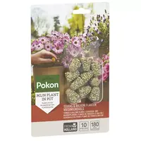 Terras en balkon planten voedingskegels