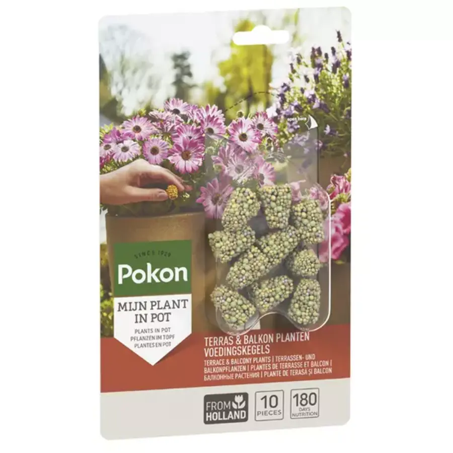 Terras en balkon planten voedingskegels