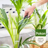 Biologische palmvoeding 250 ml voor sterke en diepgroene palmen