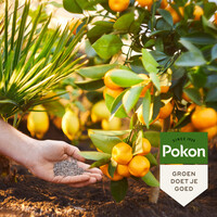 Mediterrane planten mest