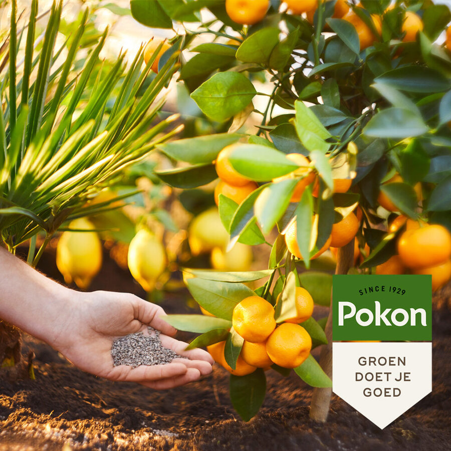 Mediterrane planten mest