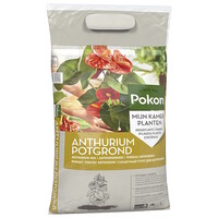 Anthurium potgrond voor anthuriums en varens 5 liter
