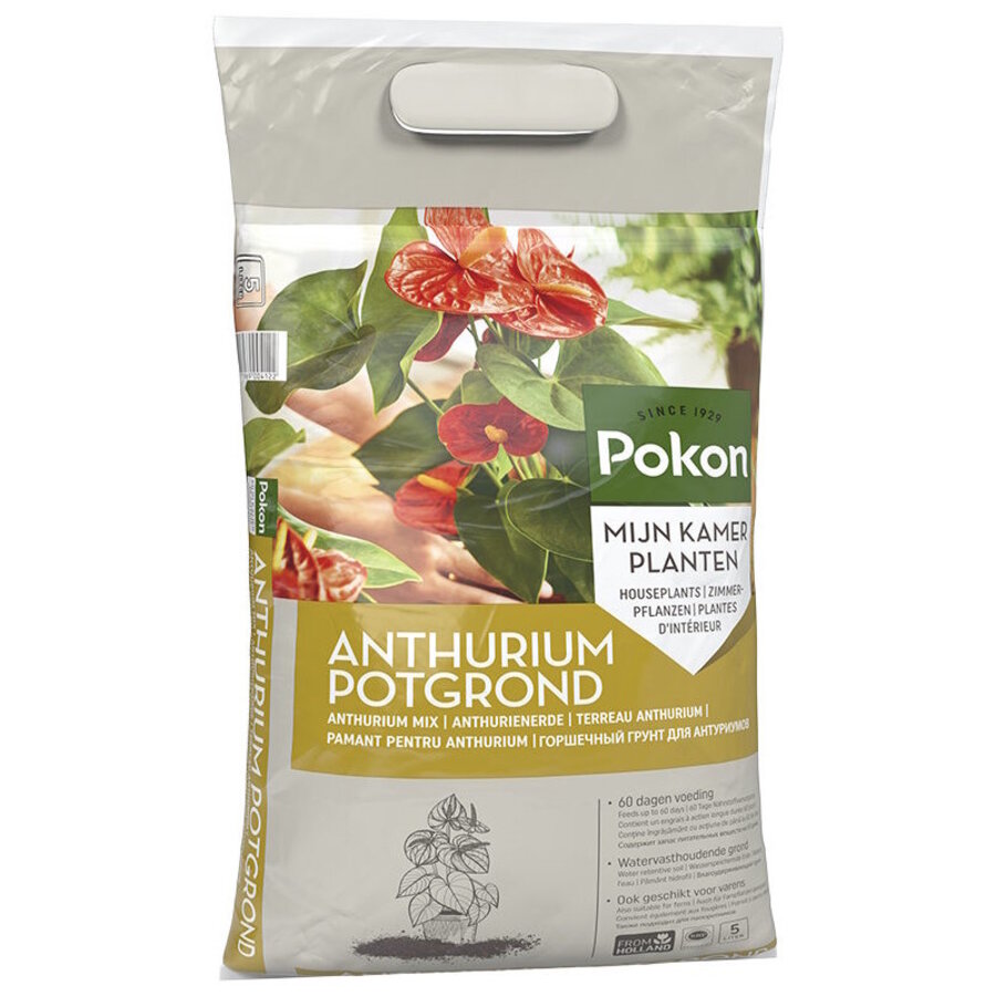 Anthurium potgrond voor anthuriums en varens 5 liter