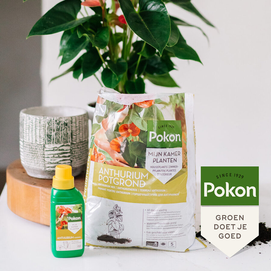 Anthurium potgrond voor anthuriums en varens 5 liter