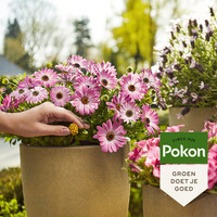 Terras en balkon planten voedingskegels