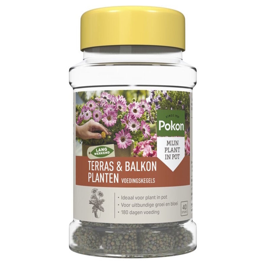 Terras en balkon planten voedingskegels