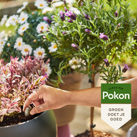 Bio terras en balkon planten voedingskegels