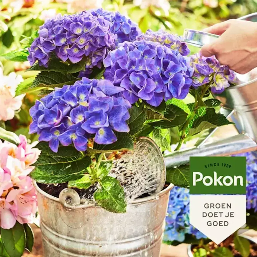 Biologische hortensia potgrond voor zuurminnende planten