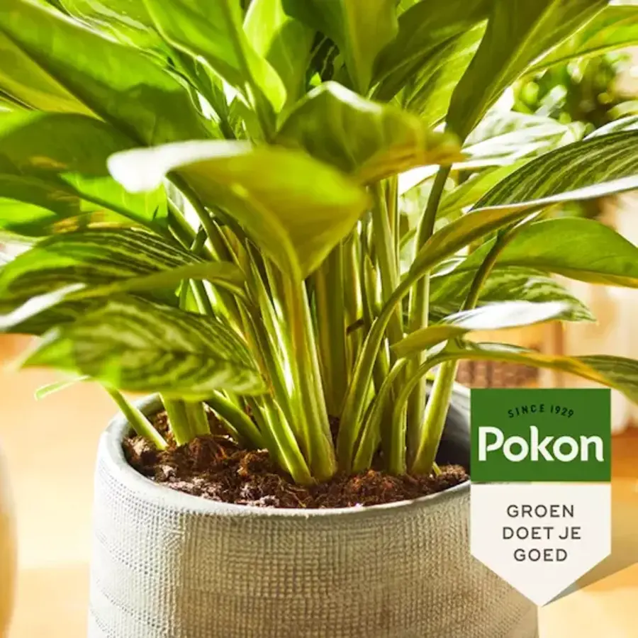 Vloeibare groene planten voeding voor diepgroen blad 500 ml