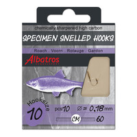 Hakenboekje Voorn 10 stuks 60CM