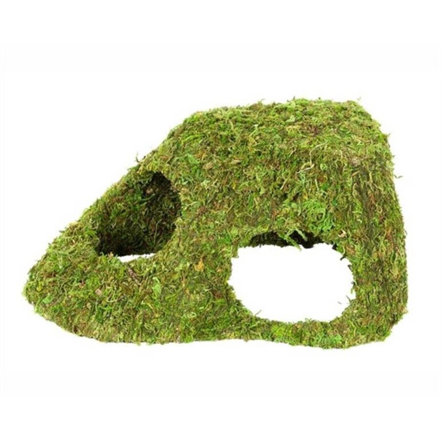 Terrarium Jungle Cave mosgrot 11-25,5 cm | natuurlijke schuilplaats voor regenwoudterrarium