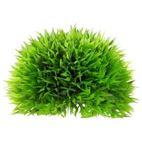 Decoratie Aqua Plant Ball