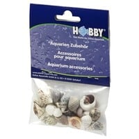 Decoratie zeeschelpen set S 20 stuks | natuurlijke schelpen voor aquarium, terrarium en hobby