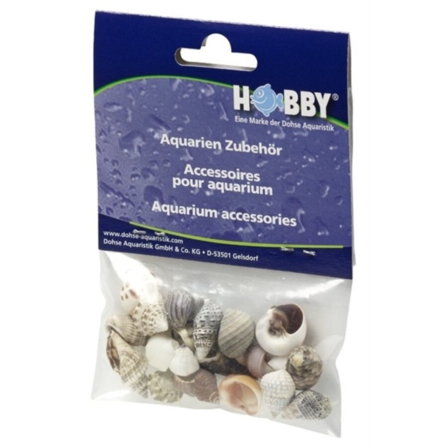 Decoratie zeeschelpen set S 20 stuks | natuurlijke schelpen voor aquarium, terrarium en hobby