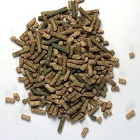 EarthPro TurtleGold compleet pelletsvoer voor waterschildpadden 300 g