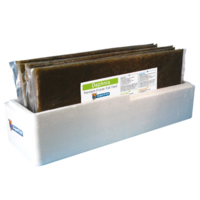 Daphnia diepvriesvoer plak 500 gram | natuurlijk aanvullend visvoer