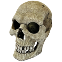 Human Skull XL terrarium schedel 16 x 22 x 20 cm als schuilplaats voor reptielen en amfibieën