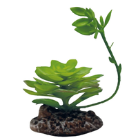 Kunstplant Echeveria terrarium 17 cm