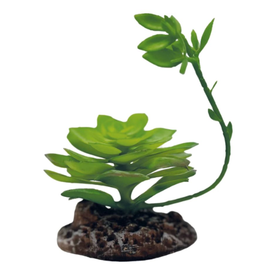 Kunstplant Echeveria terrarium 17 cm