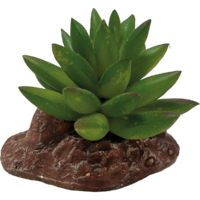 Kunstplant Aloes terrariumdecoratie 10 cm voor woestijnterraria