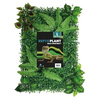 Realistische terrarium achterwand 40x60cm met kunstplanten en schuilplaatsen