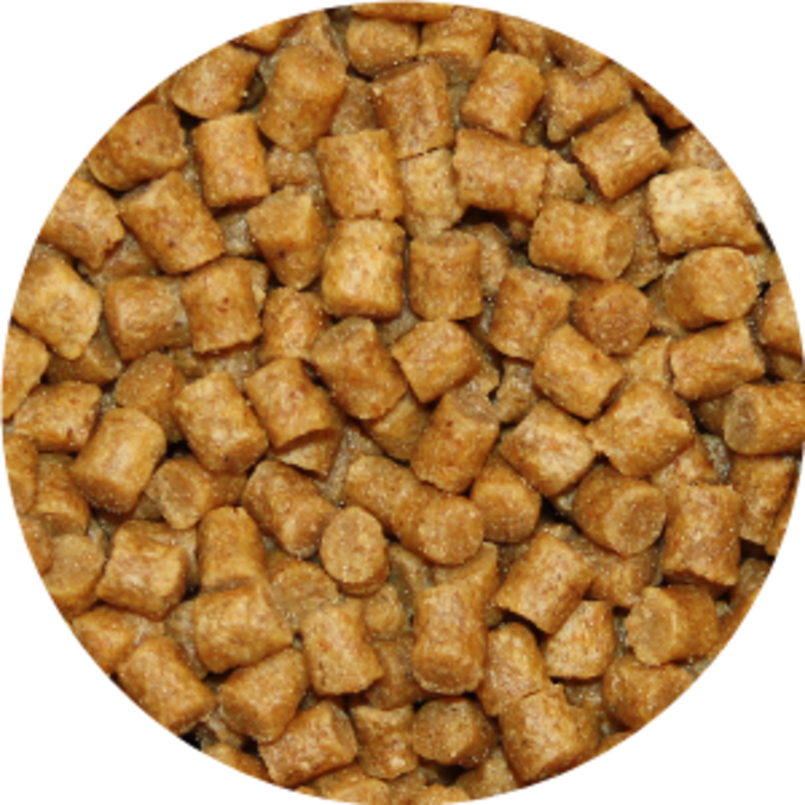 Premium Coarse
