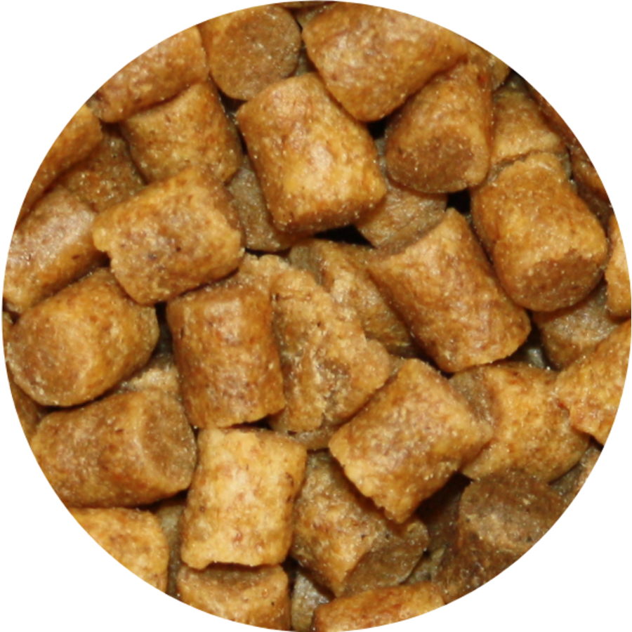 Premium Coarse
