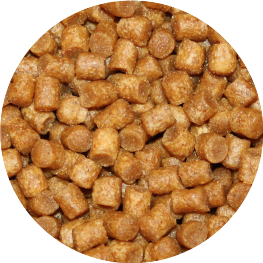Cichliden pellets zinkend visvoer | 4,5 mm 5 kg zak