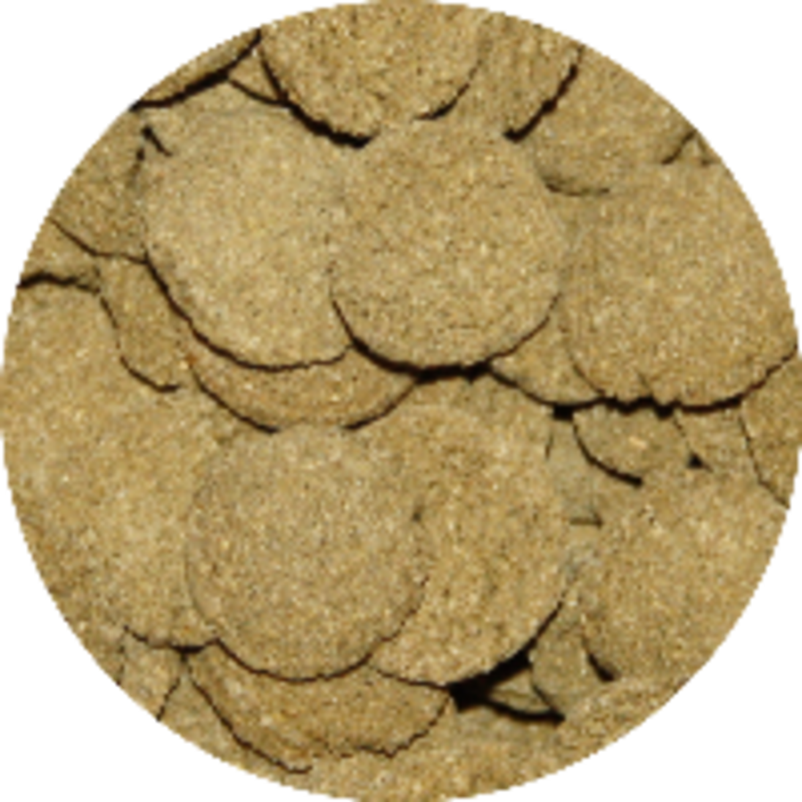 Algenwafers met spirulina zinkend visvoer | 12 mm 5 kg