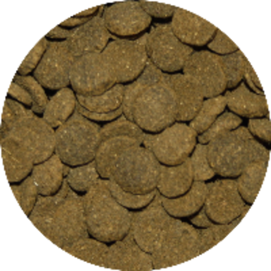 Mini wafels met spirulina  voor bodemvissen | 7 mm 5 kg