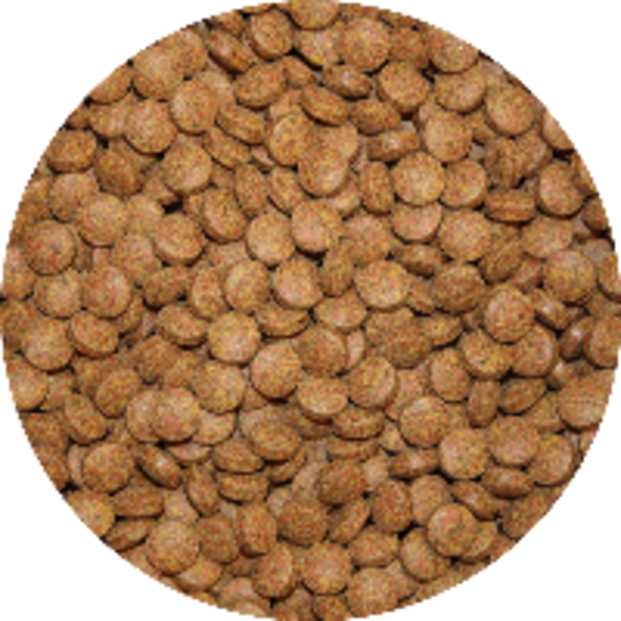 Zinkende bodemtabletten voor bodemvissen en siervissen | 5 kg