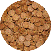 Bruine kleeftabletten voor aquariumvissen volledig visvoer | 5 kg