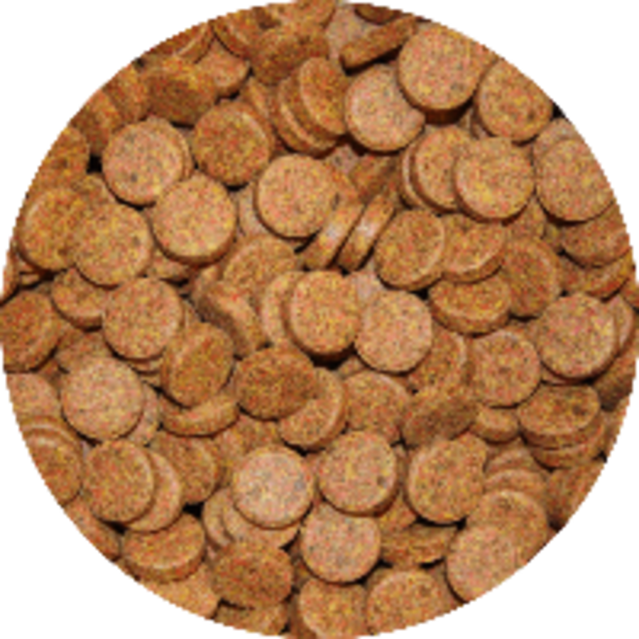 Bruine kleeftabletten voor aquariumvissen volledig visvoer | 5 kg