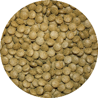 Groene zinkende bodemtabletten voor algeneters en siervissen | 5 kg