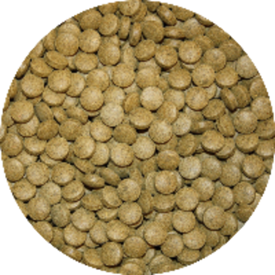 Groene zinkende bodemtabletten voor algeneters en siervissen | 5 kg