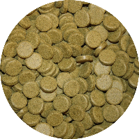 Groene kleeftabletten met spirulina voor aquariumvissen 5 kg