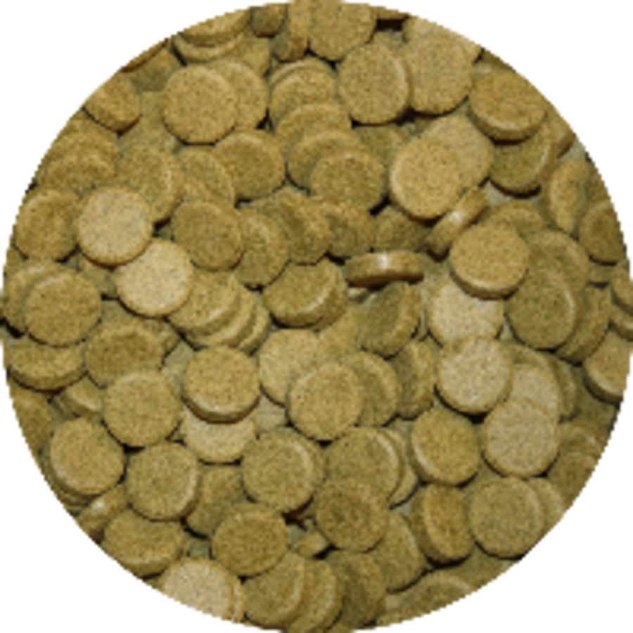 Groene kleeftabletten met spirulina voor aquariumvissen 5 kg
