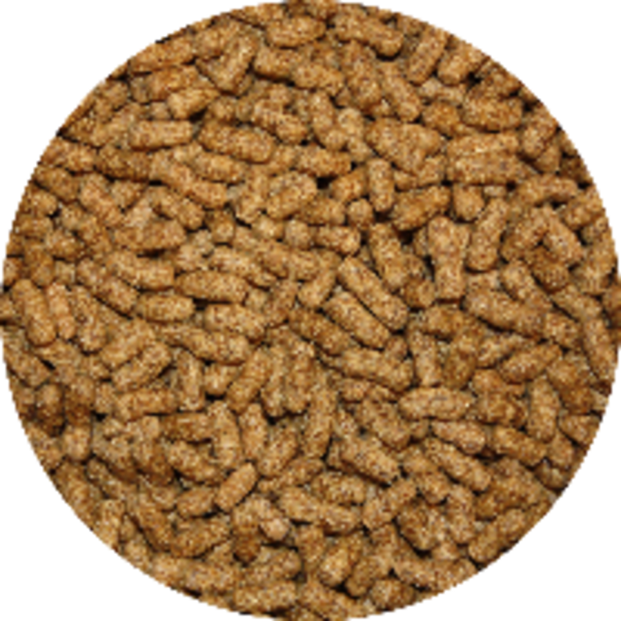 Schildpaddensticks bruin | 10 kg
