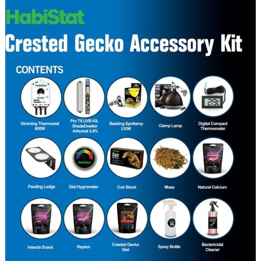 Wimpergekko Toebehoren Set | Complete accessoirekit voor Wimper, Dag en Gargoyle gekko