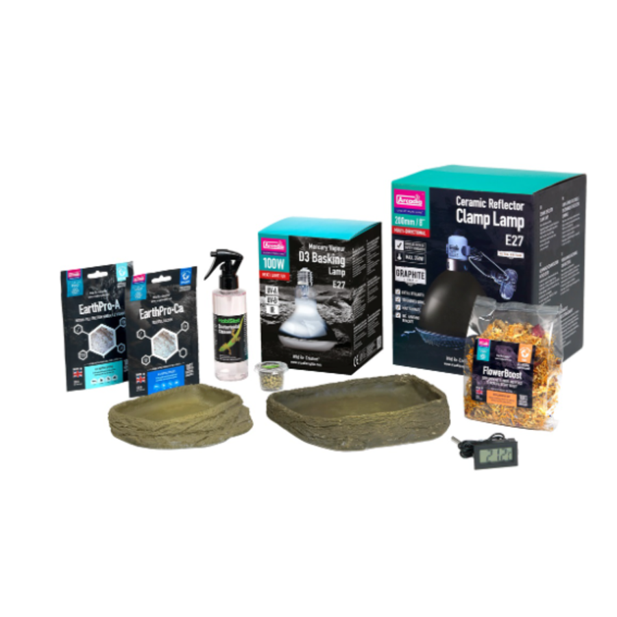 Complete landschildpadden toebehoren set voor schildpaddentafel met UVB lamp 100W, verwarming, waterbakken, supplementen en reiniger