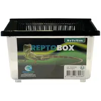 Transparante kunststof transportbox voor reptielen, amfibieën, knaagdieren en insecten | 4 maten