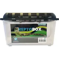 Transparante kunststof transportbox voor reptielen, amfibieën, knaagdieren en insecten | 4 maten